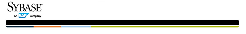 New2011_header_SYSAP_custom